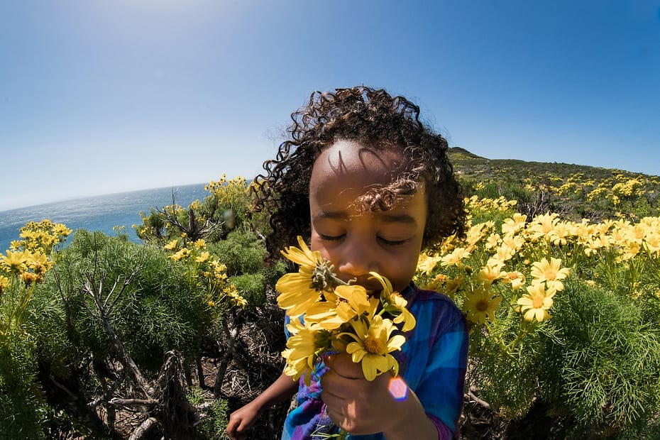 Little girl smelling flowers in a field